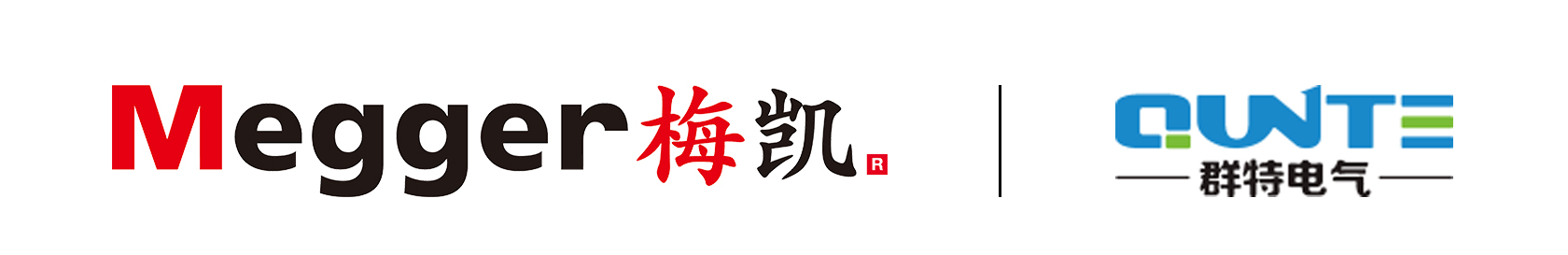 杭州群特电气有限公司